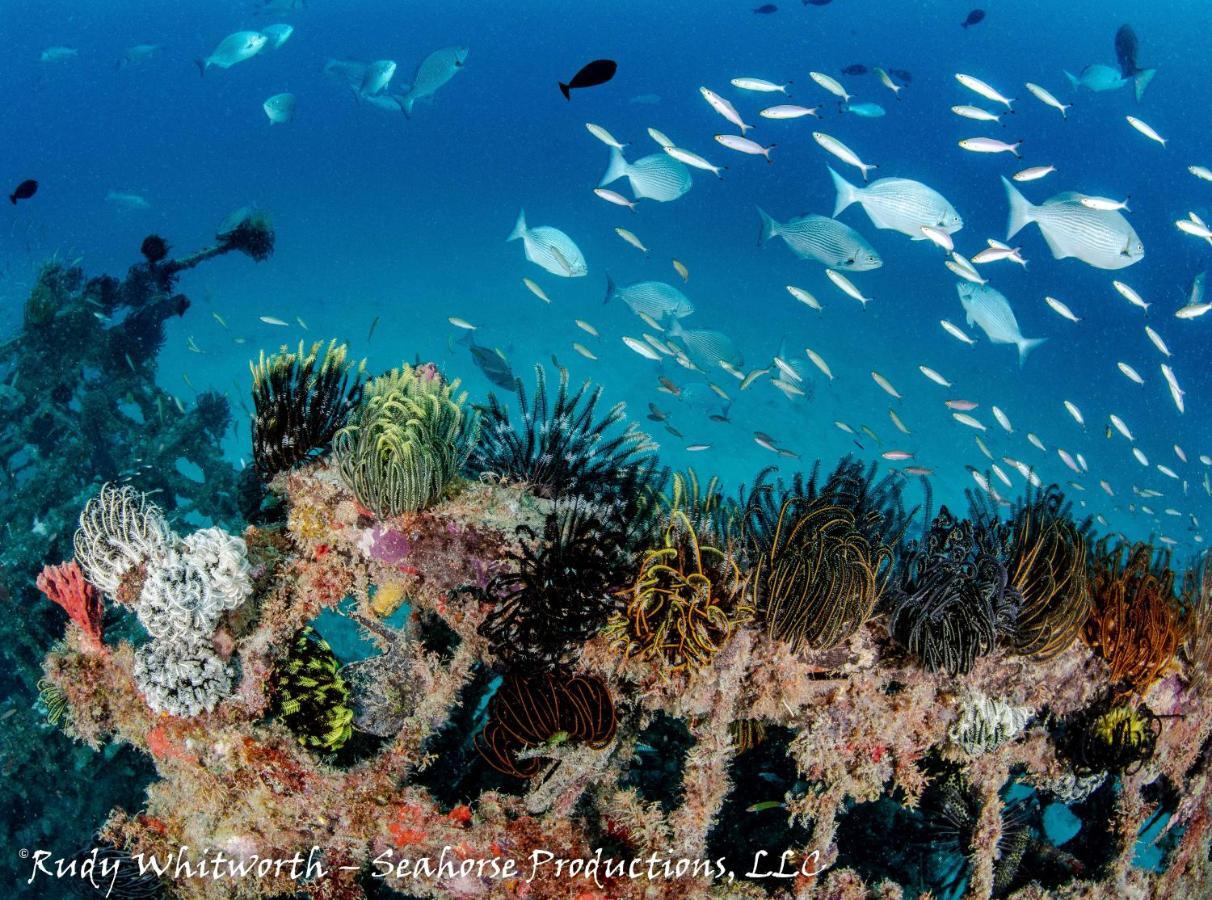 Borneo Divers Mabul Resort Mabul Island 外观 照片