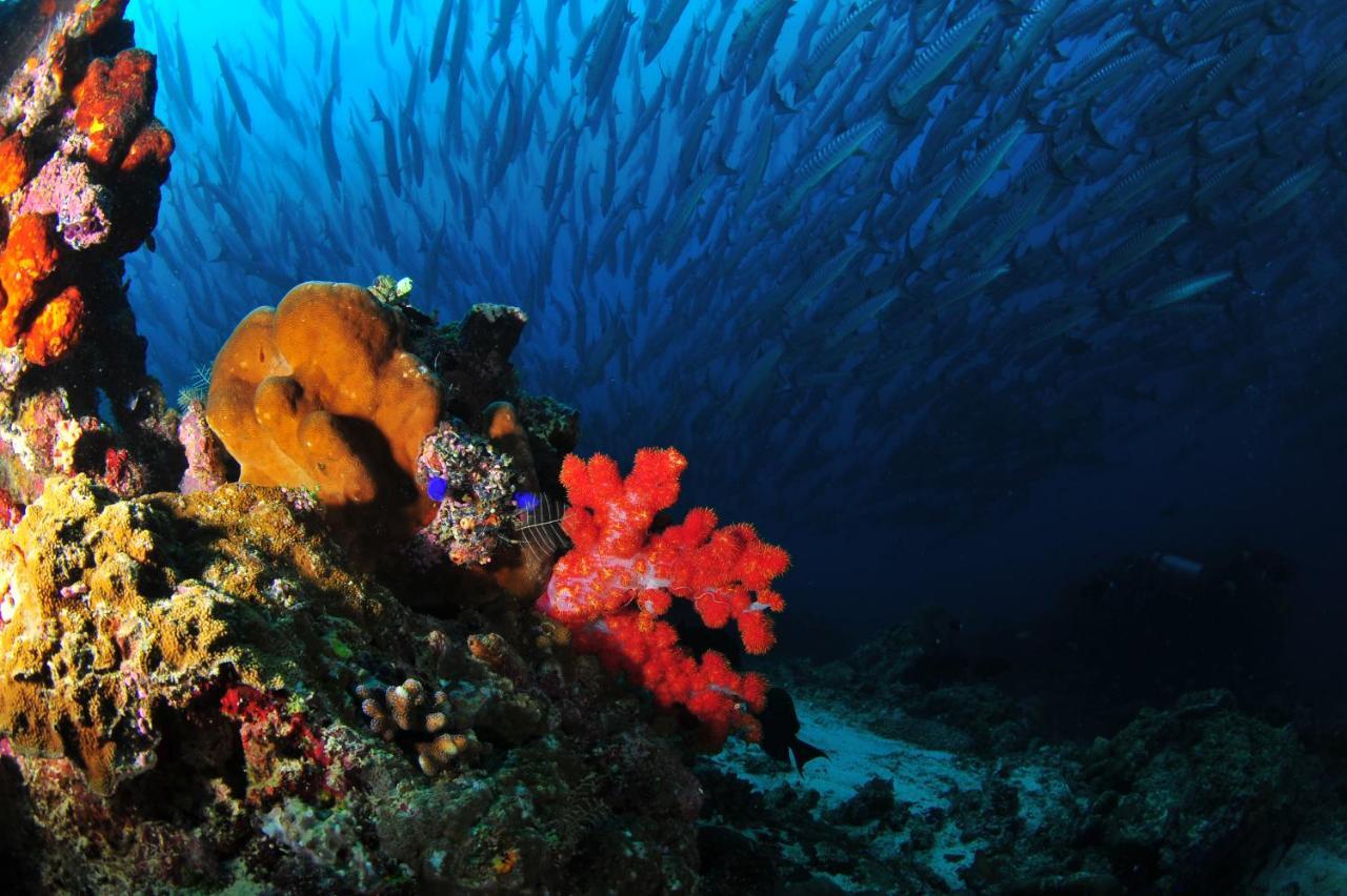 Borneo Divers Mabul Resort Mabul Island 外观 照片
