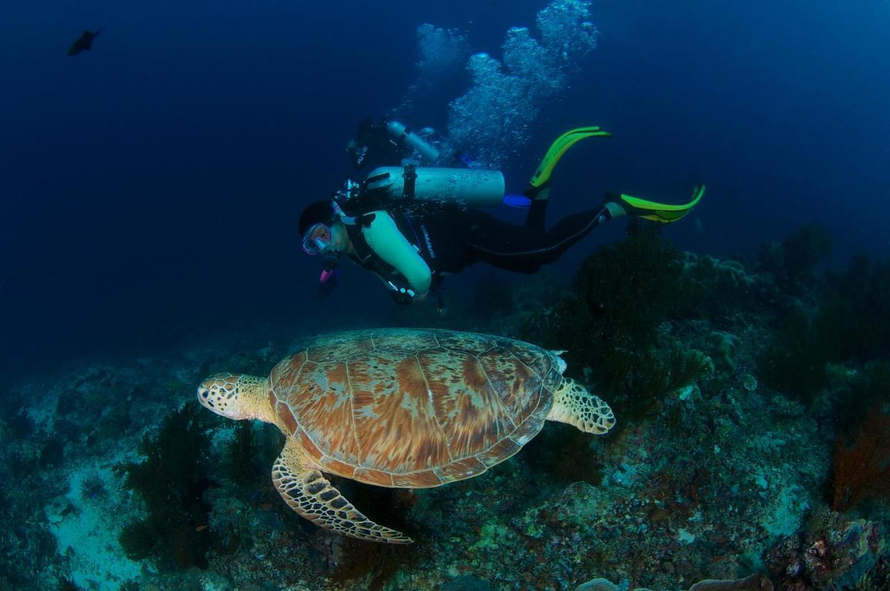 Borneo Divers Mabul Resort Mabul Island 外观 照片