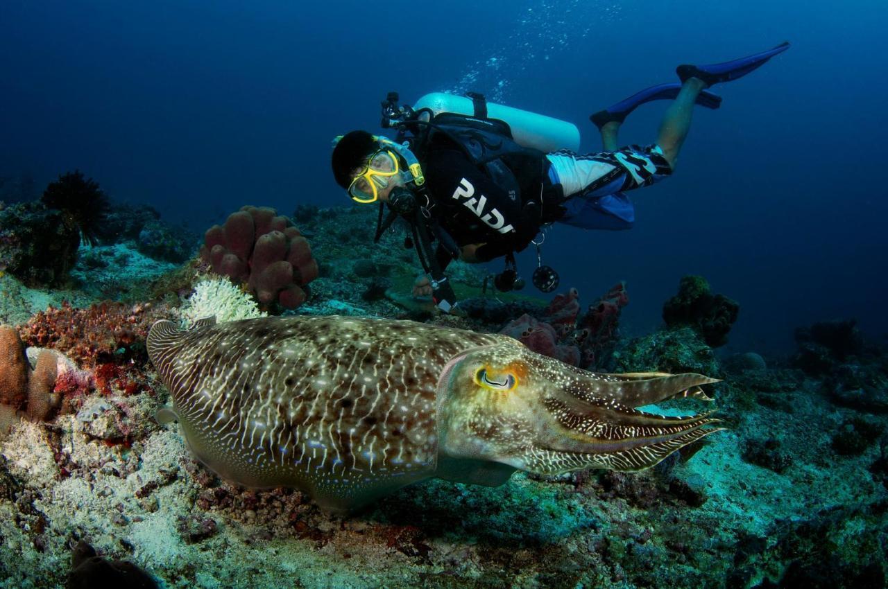 Borneo Divers Mabul Resort Mabul Island 外观 照片